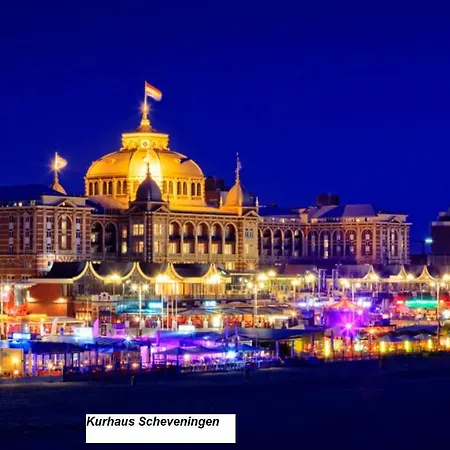 74 Pijnboomstraat Daire Lahey