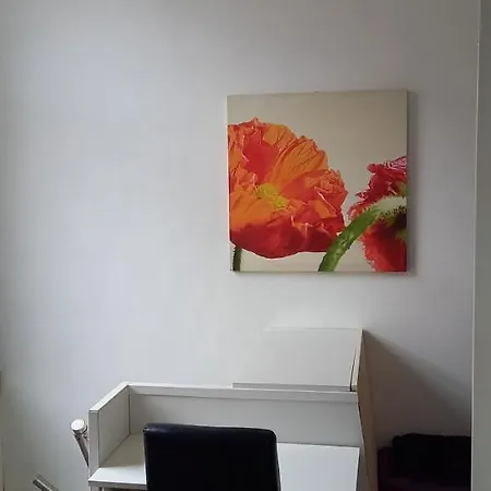 74 Pijnboomstraat 海牙